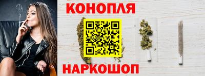 крисы Партизанск