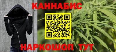 крисы Партизанск