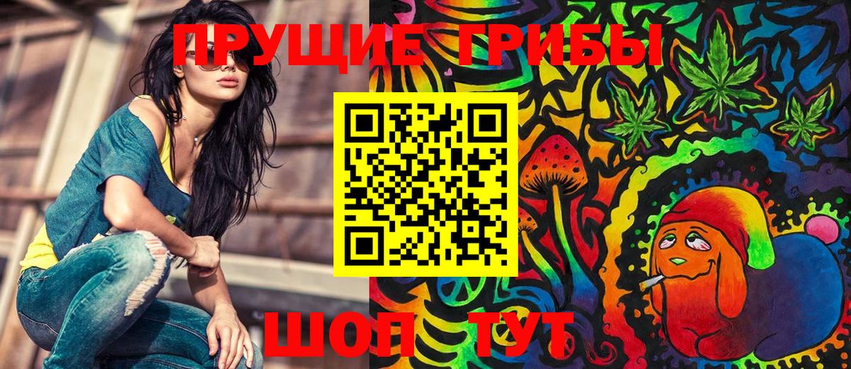 Псилоцибиновые грибы Cubensis Удомля
