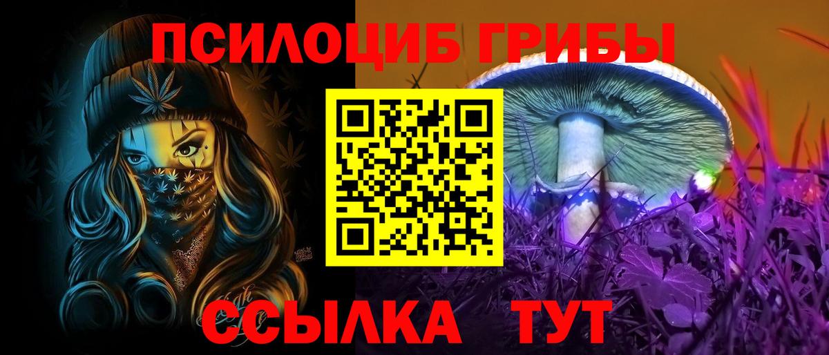 Галлюциногенные грибы прущие грибы  Вход с VPN  Удомля  Галлюциногенные грибы Psilocybine cubensis 